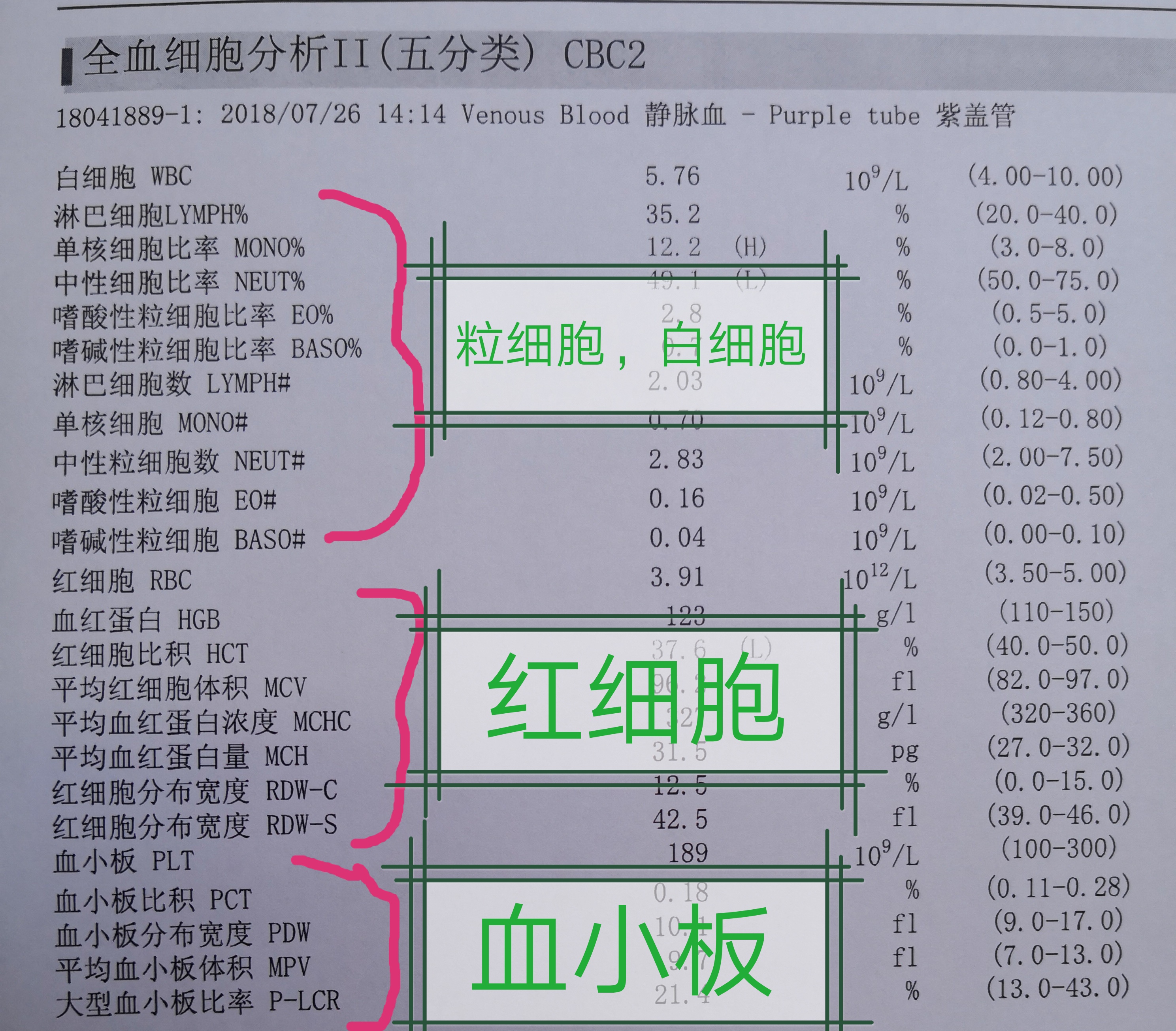 中性粒细胞百分比偏高感冒_血常规检查项目费用_血常规白细胞临床意义解读